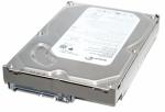 320GB SATA 3Gb/s S.M.A.R.T. (Self Monitoring And Reporting Technology) IV hard drive – 7,200 RPM, 3.5-inch form factor, 1.0-inch high